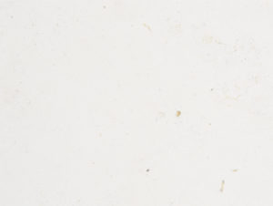 Pierre de Bordeaux, beige, Limestone